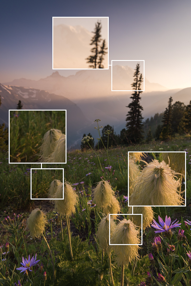 Focus-Stacking-Sharp-Foreground-capturelandscape 03